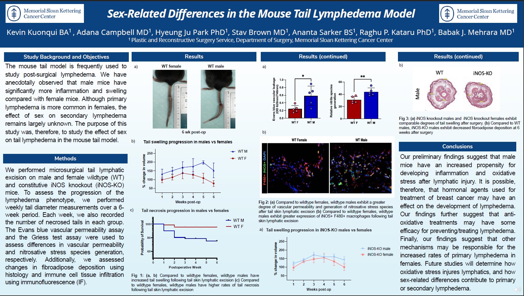 Sex-related differences in the mouse tail lymphedema model